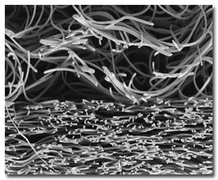 FiltrationSEM